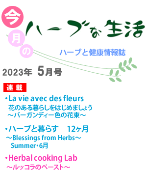 今月のハーブな生活
