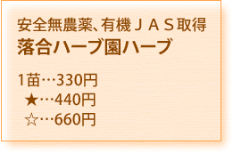 安全無農薬、有機JAS取得　落合ハーブ園ハーブ